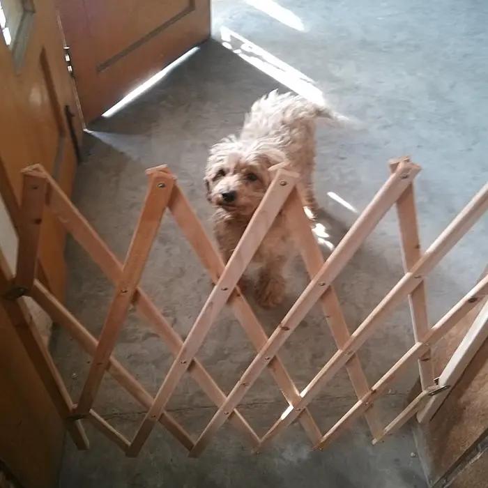 Porte coulissante rétractable en bois réglable pour chiots sécurité maison escaliers chambre à coucher occasionnelleextérieur