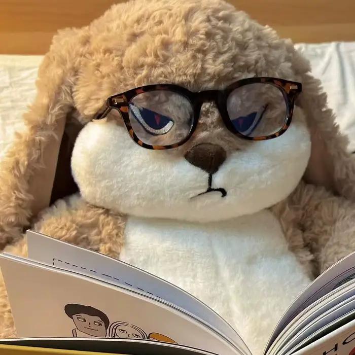 Jouet en peluche lapin en colère grande taille poupée kawaii décoration chambre cadeau anniversaire elfe films séries